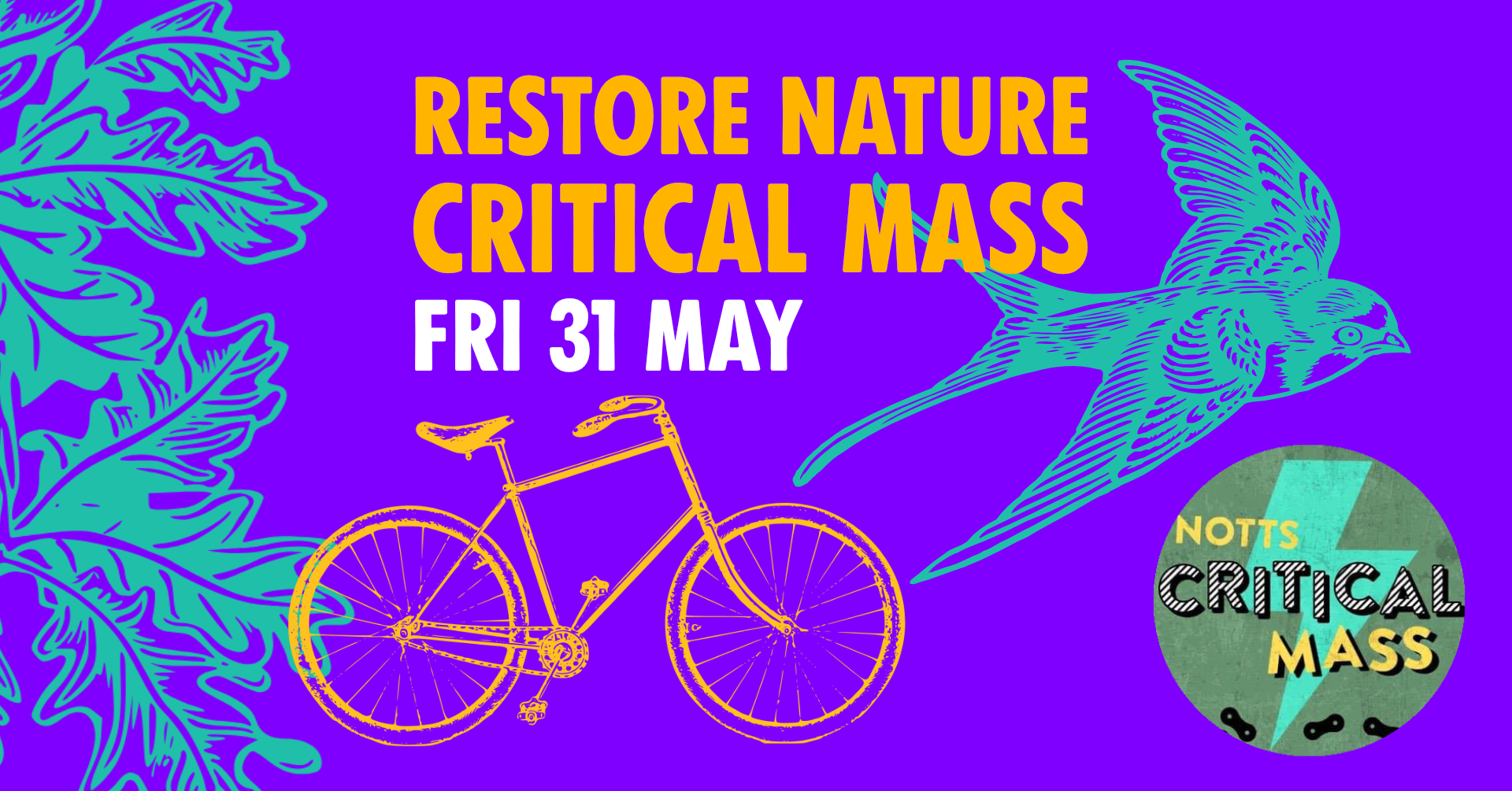 critical mass bike ride